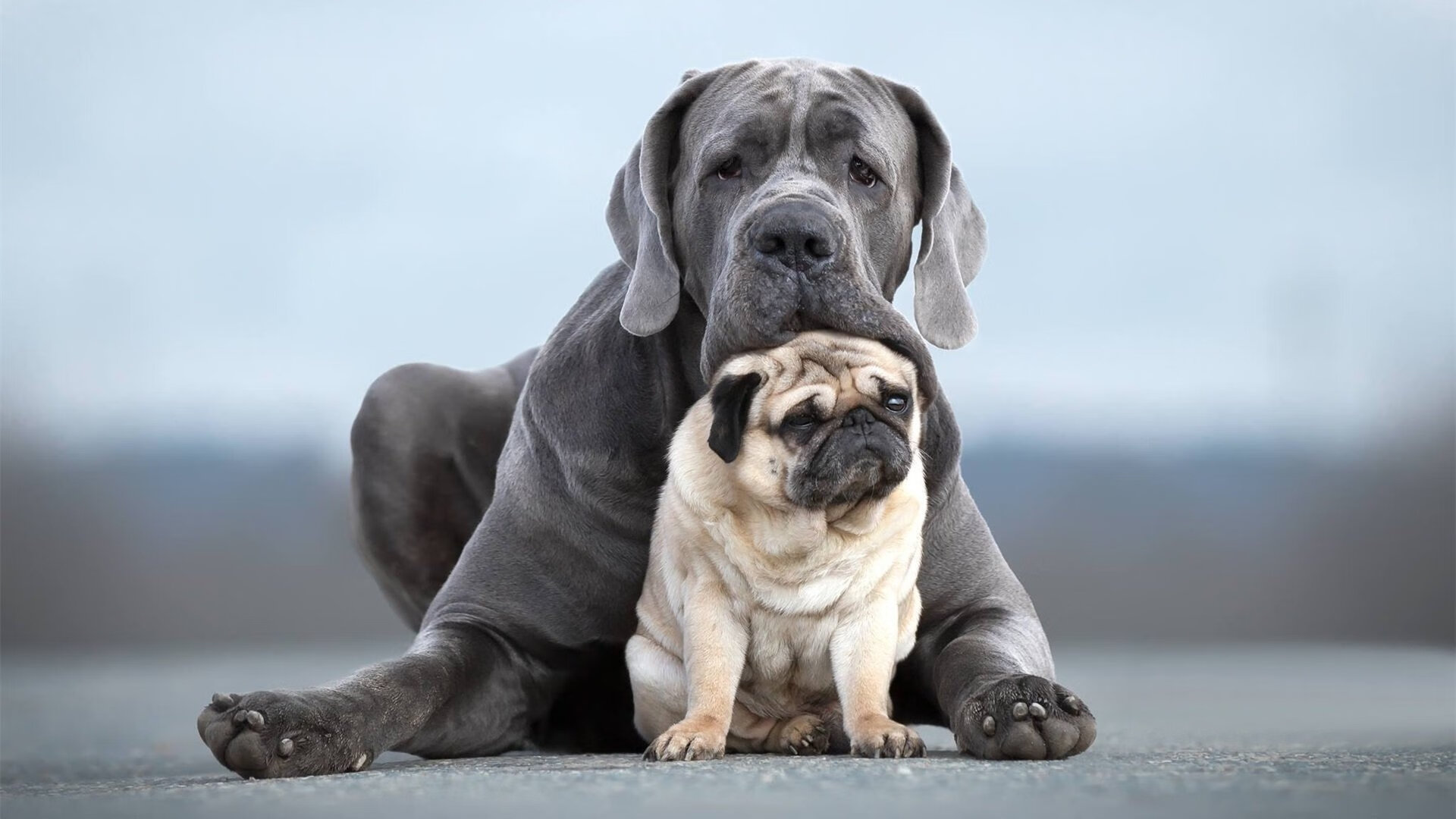 羽坛石破天惊，鏖战五局，印尼队惊天翻盘马来西亚，石宇奇杀出新王炸