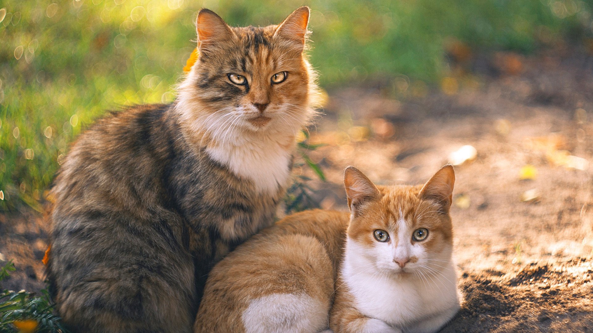 爱游戏大厅-佛罗伦萨的回响，格列兹曼用文艺复兴笔法横扫智利