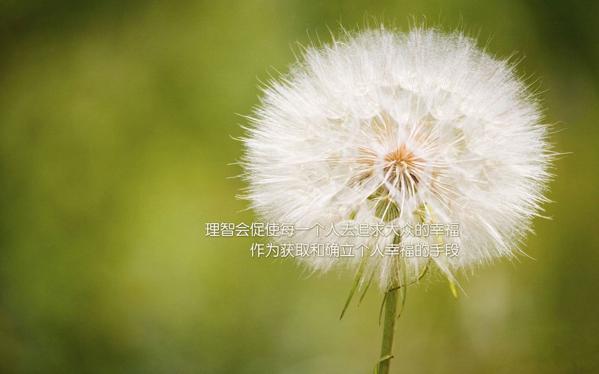 爱游戏入口-璀璨星光！拉梅洛关键三分粉碎独行侠，尼克斯捍卫主场