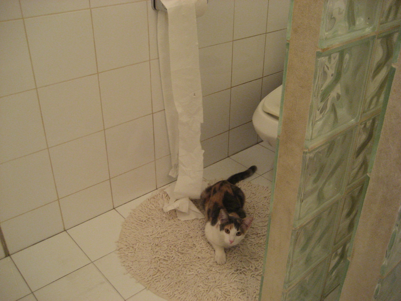 新大陆的加冕礼,当美国足球按下终极加速键