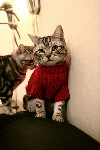 逆风之下，他是扭转一切的风暴眼—米切尔用17.6秒定义何谓关键先生