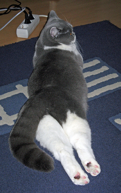 爱游戏-东决之夜，当老炮变成手术师