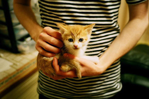 爱游戏入口-布赛尔一夜，当赛道数据开始尖叫