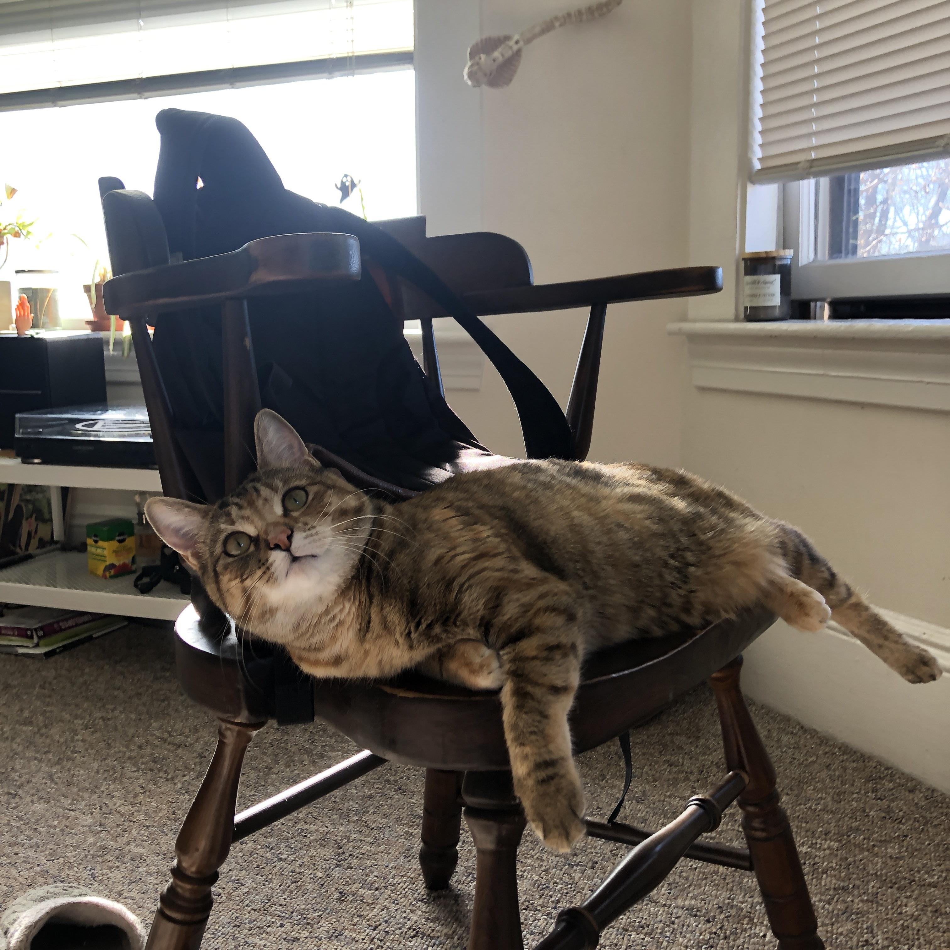 爱游戏大厅-恩比德统治攻防两端，步行者力克猛龙获全场最佳无争议