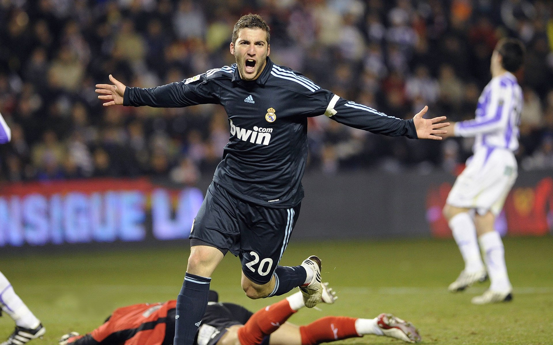 东欧魔法淬炼浙江队，武切维奇成为黄蜂终结者