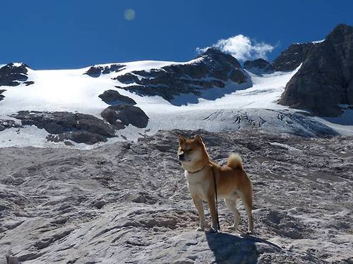 东决史诗夜,帕尔默破茧