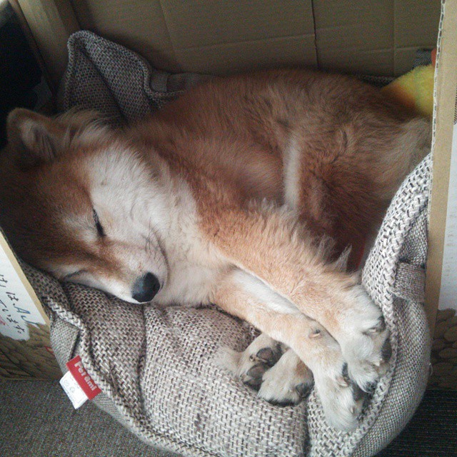 爱游戏在线-斩断宿命！一记绝杀埋葬四载心魔，平凡数据下的英雄米切尔