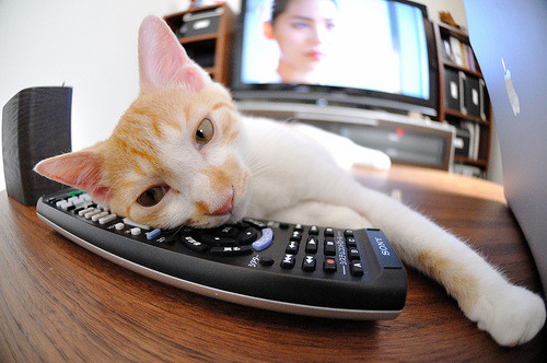 阿什拉夫苏醒,哥伦比亚用三记重拳击溃沉睡的雷恩