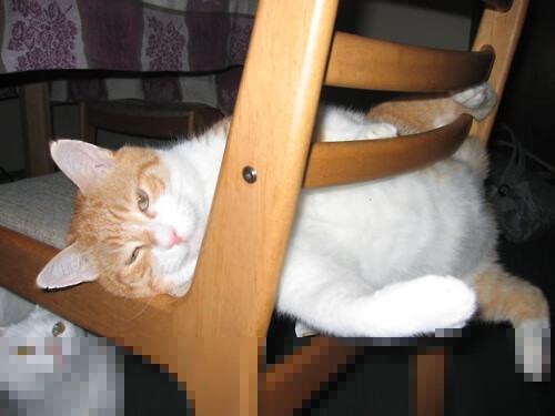 跨越太平洋的传球,久保建英的钥匙,打开了美国对阵马赛的胜利之门