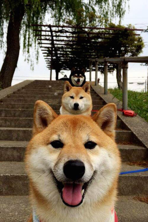 当东方密云遇见汽车城火花,班凯罗里程碑之夜的跨洋对话