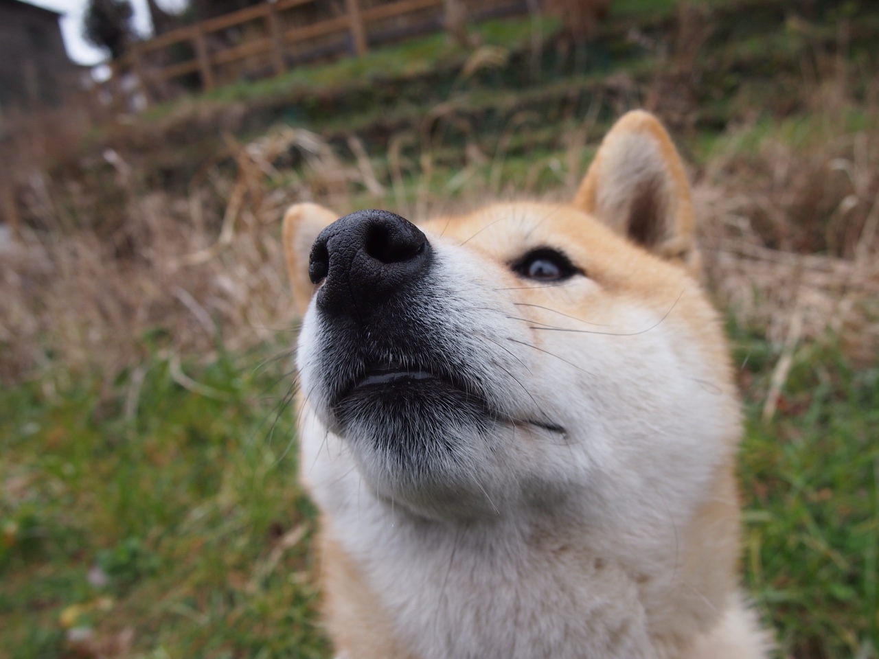 加时鏖战现英雄，亚特兰大2-1力克AC米兰，罗德里关键一击定乾坤