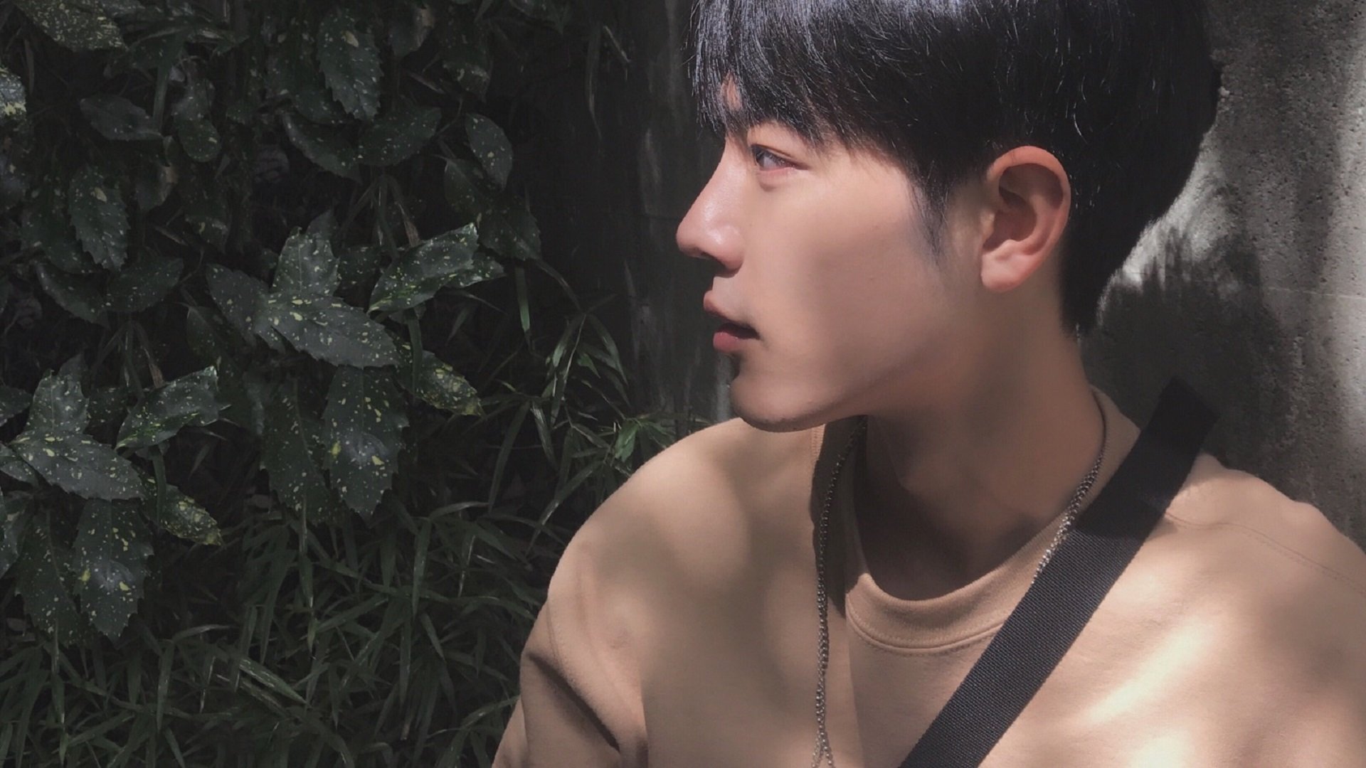 双星闪耀夜，勇士加时擒狼续写坚韧，东契奇独舞主宰赛场命运 团队鏖战与个人统治力的完美交响，NBA之夜诠释篮球多元魅力