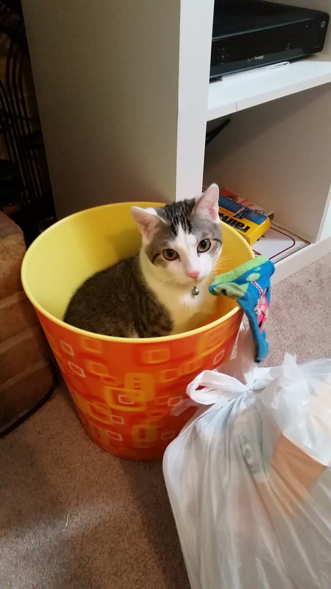 窒息攻防，帕尔默用最不F1的方式锁定王座