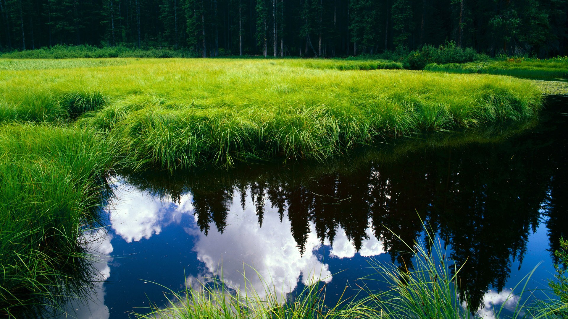 若没有苏亚雷斯,西班牙或许会败给秘鲁