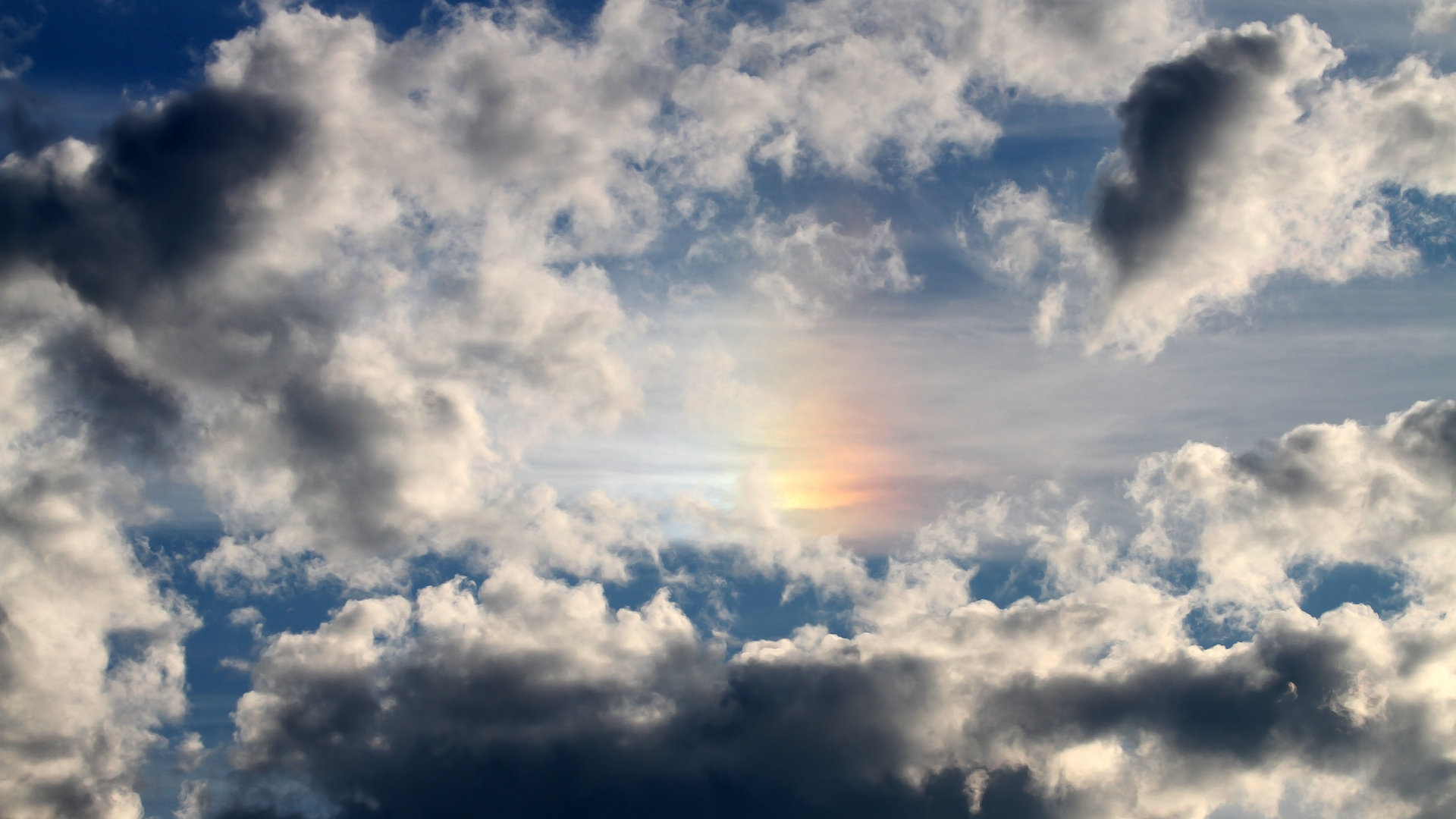 太阳燎原！范弗利特空砍准三双，独木难支难敌凤凰城立体火力网