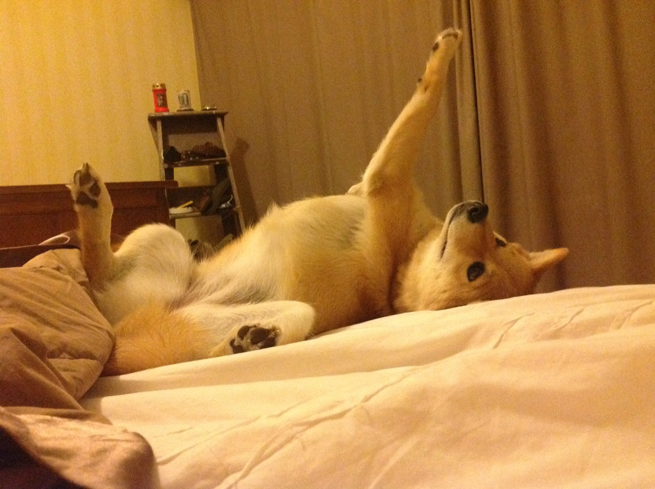 巅峰与热血的对决,当吉林队跨越山海让死神杜兰特关键制胜成为背景