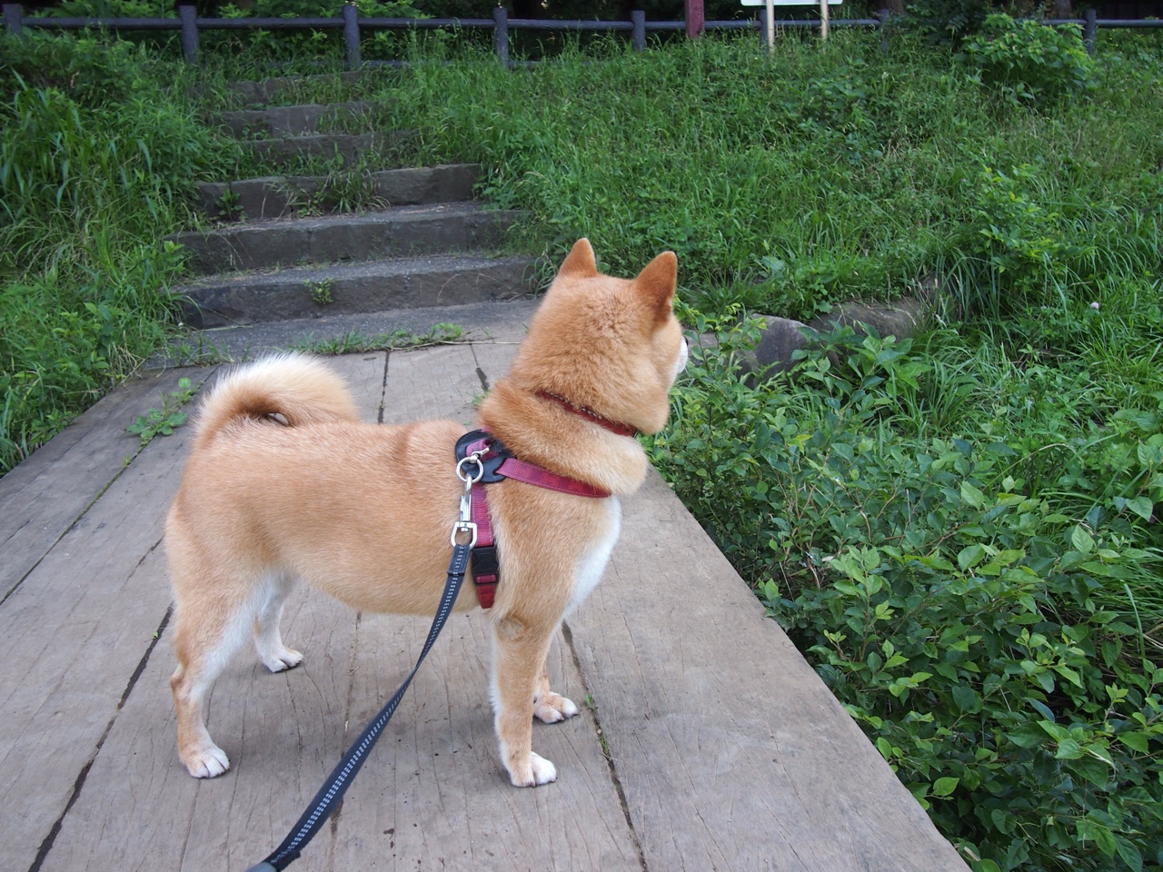 爱游戏下载-新王诞生！欧冠半决赛之夜贝林厄姆导演史诗逆转