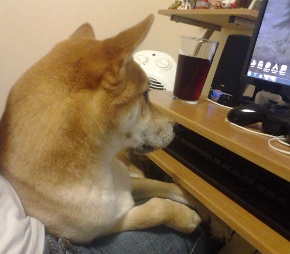 新王诞生！欧冠半决赛之夜贝林厄姆导演史诗逆转