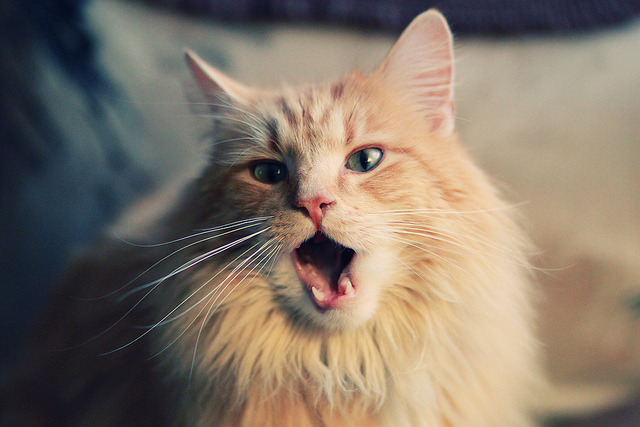 当加泰罗尼亚遇见非洲之心,赖斯在巴萨vs安哥拉慈善赛中打出生涯唯一之夜