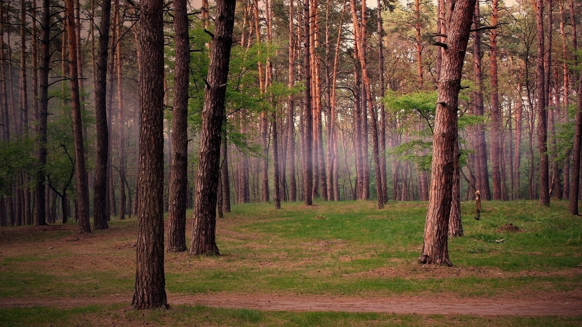 爱游戏官网-一瞬定乾坤，2026世界杯E组，加纳与泰国的攻守诗篇，B费点亮唯一性时刻